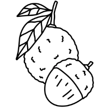 Lychee Coloring Page