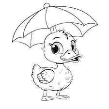 Mallard Duck With An Umbrella Coloring Page