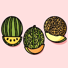 Melon Collection Coloring Page