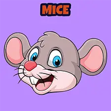 Mouse Coloring Page For Kids