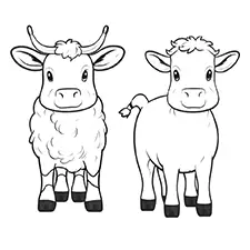 Mummy & Daddy Cow Coloring Page Black & White