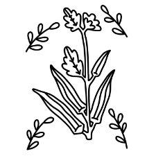 Okra Coloring Page
