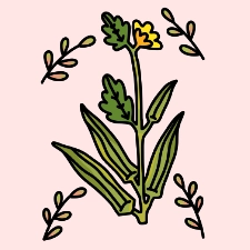 Okra Coloring Page