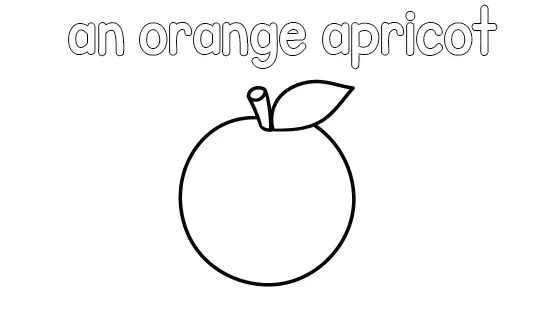 An Orange Apricot Coloring Page