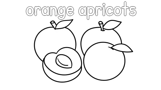 Orange Apricots Coloring Page