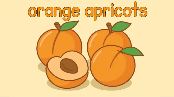 Orange Apricots Coloring Page