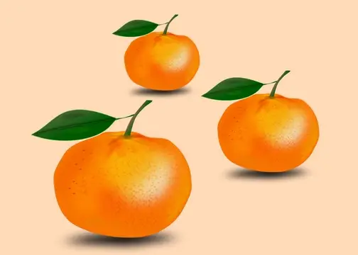 Orange Oranges