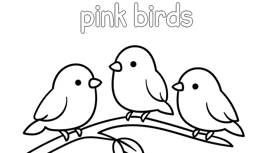 Pink Birds Coloring Page