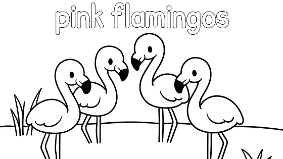 Pink Flamingos Coloring Page