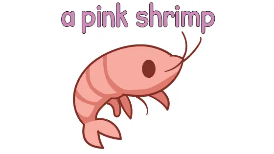 A Pink Shirmp Coloring Page