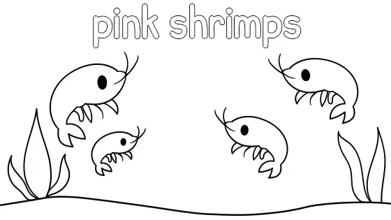 Pink Shrimps Coloring Page