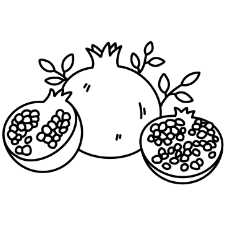 Pomegranate Coloring Page