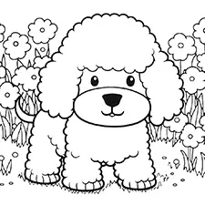 Poodle Coloring Page Black & White