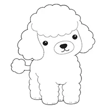 Poodle Coloring Sheet Black & White