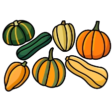 Pumpkins & Squash Coloring Page