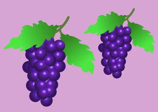 Purple Grapes