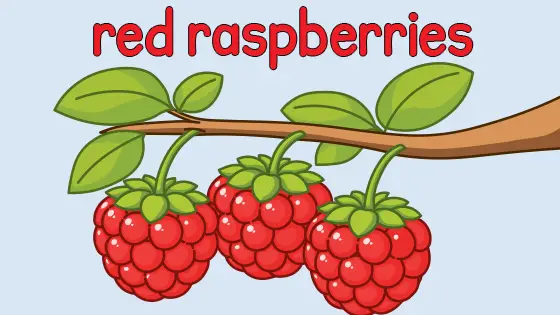 Purple Plums Coloring Page