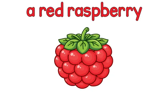 A Purple Plum Coloring Page