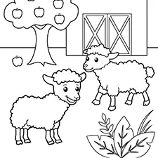 Sheep On A Farm Coloring Page Black & White