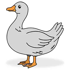 Simple Goose Coloring Sheet Color