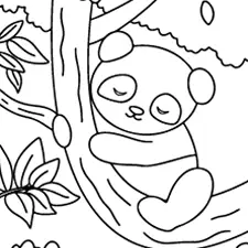 Sleeping Panda Coloring Page Black & White
