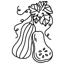Squash Coloring Page