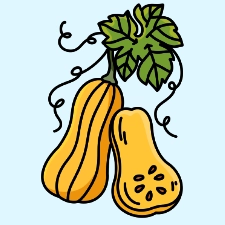 Squash Coloring Page