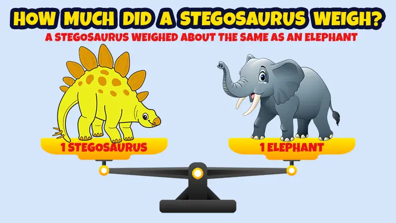 stegosaurus weight