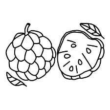 Sugar Apple Coloring Page