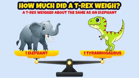 How much did a Tyrannosaurus weigh? A Tyrannosaurus weighed about the same as 78 men.