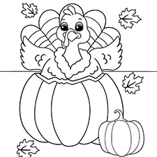 Turkey In A Pumpkin Coloring Page Black & White