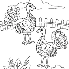 Turkeys In A Field Coloring Page Black & White