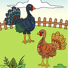 Turkeys In A Field Coloring Page
