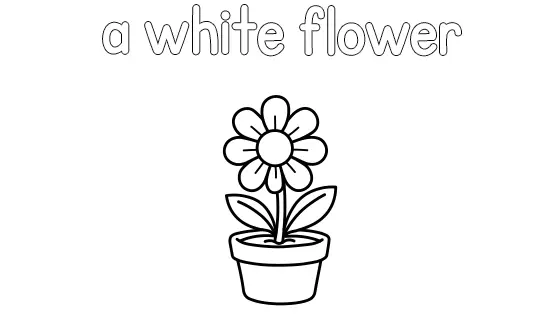 A White Flower Coloring Page
