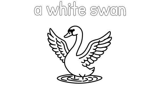 A White Swan Coloring Page