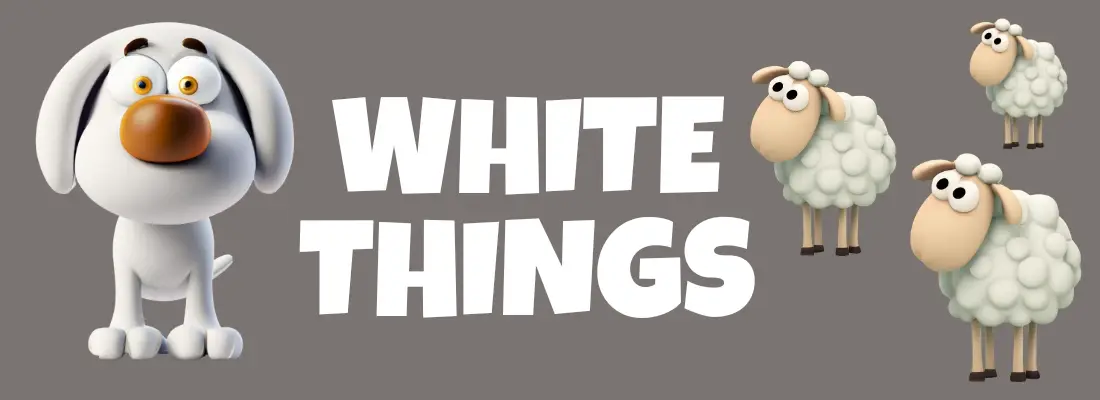 White Things - A white dog and three white sheep