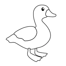 Yellow Duck Coloring Page Black & White