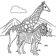 Zebra & Giraffe On Safari Coloring Page Black & White