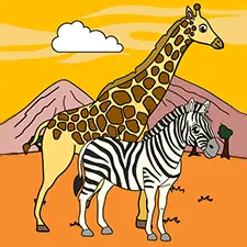 Zebra & Giraffe On Safari Coloring Page Color