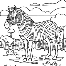 Zebra On Safari Coloring Page Black & White